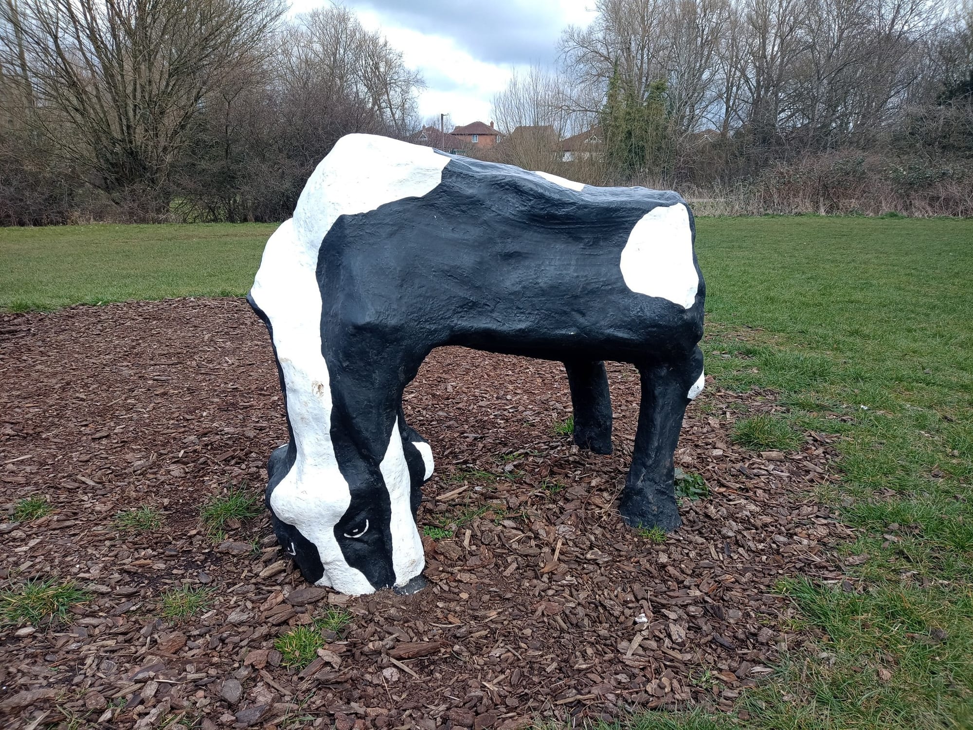 Thanks For Coming to the Cow!