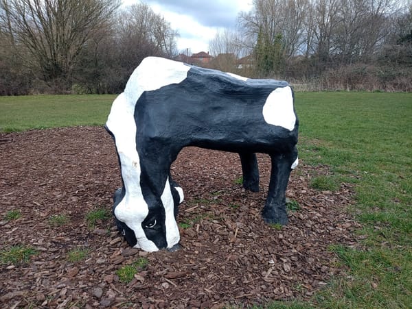 Thanks For Coming to the Cow!